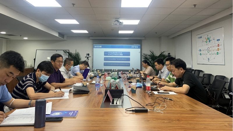 成品系统是指已经开发完成，可以直接购买的IT系统。这种方案具有以下特点：