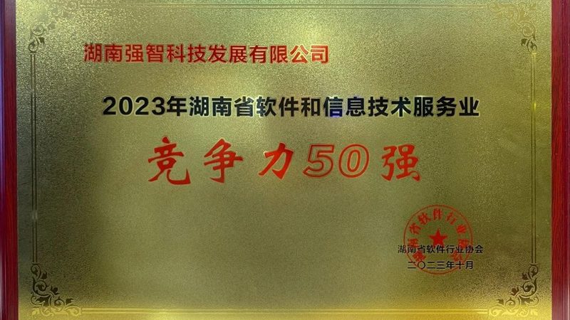 企业IT外包项目：如何规避潜在风险，确保稳定交付**